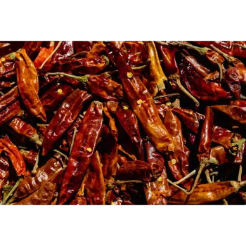  Organic Dry Red Chilli